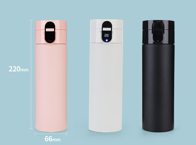 Smart Thermos Bottle with Temp Display